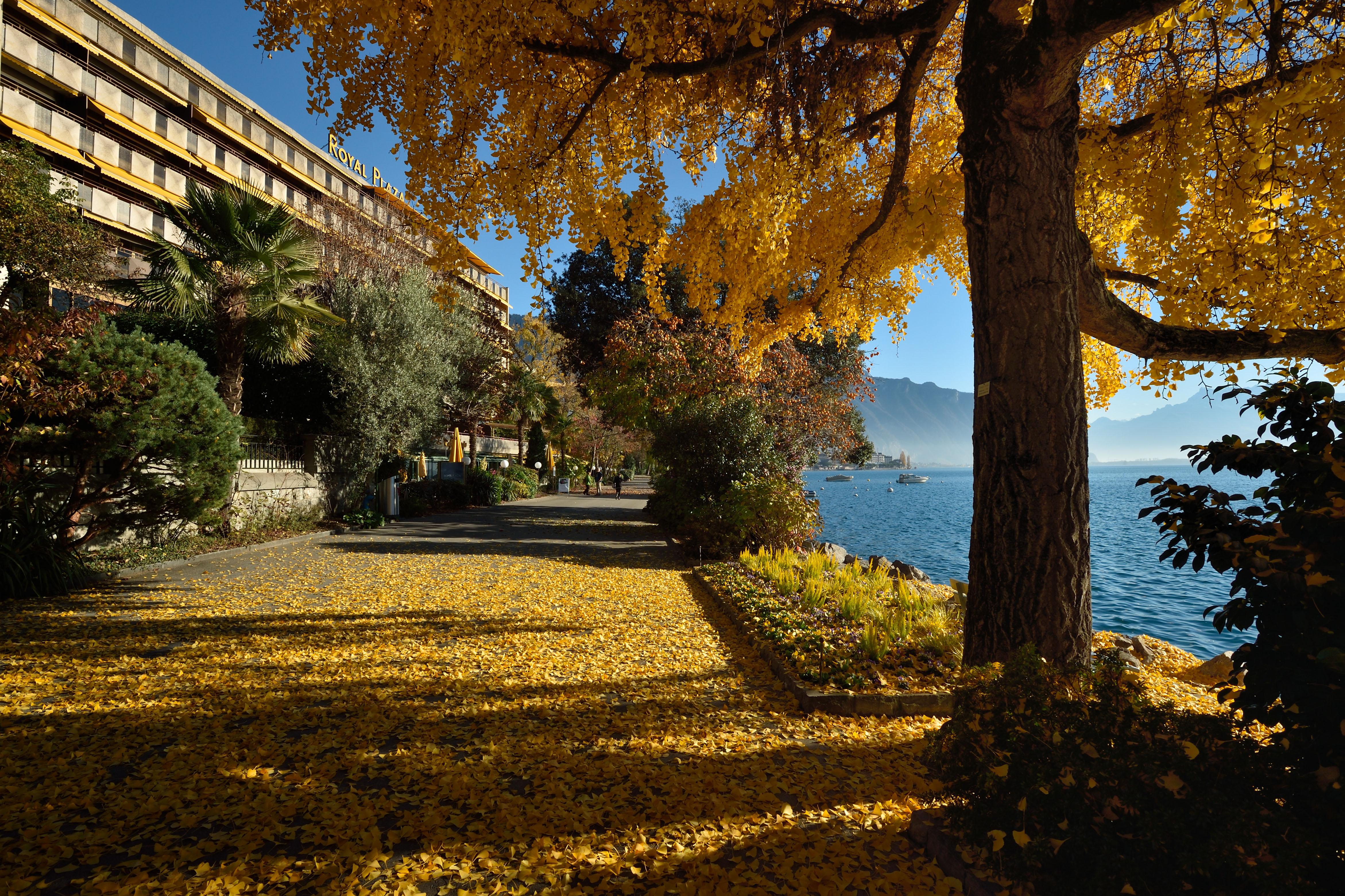 Hotel Royal Plaza Montreux Zewnętrze zdjęcie